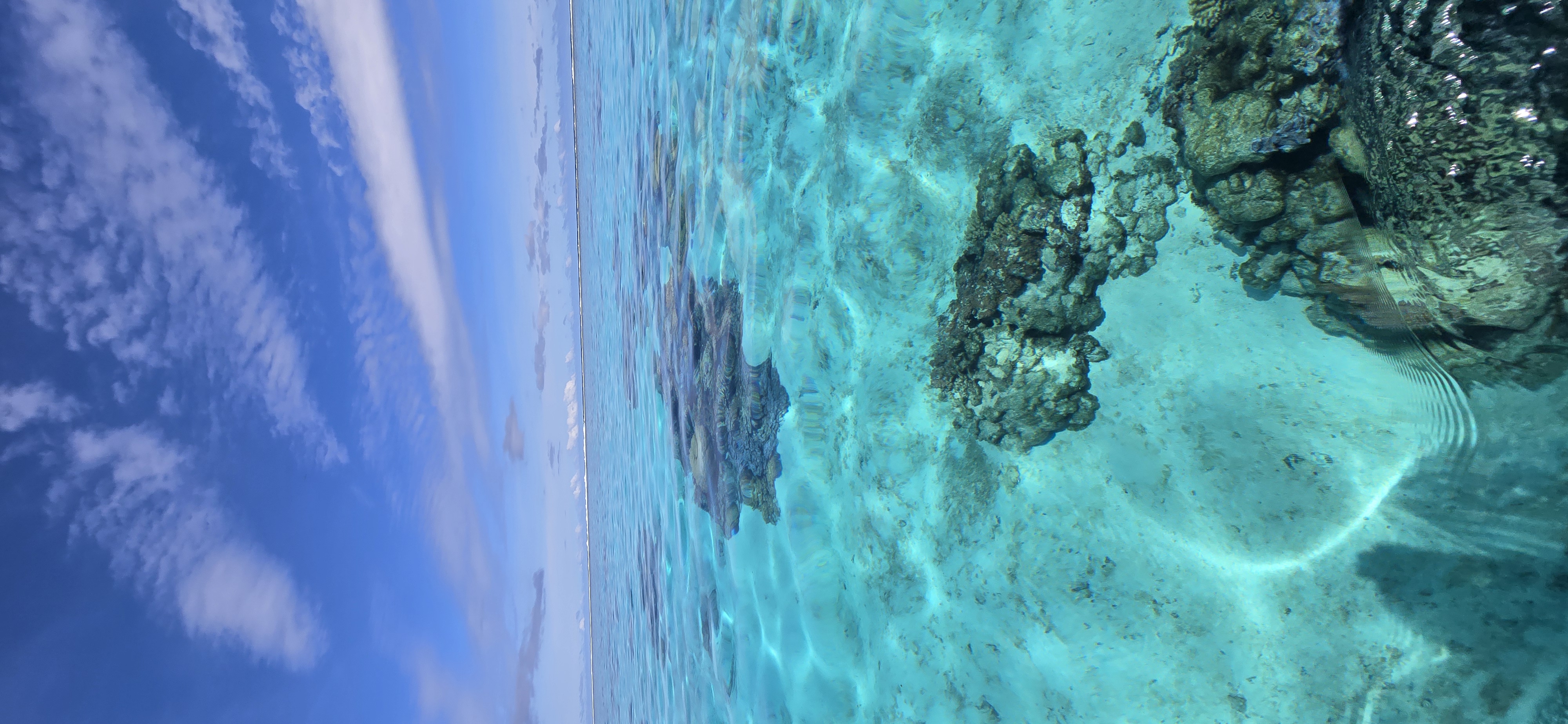 Moorea fieldwork 2024