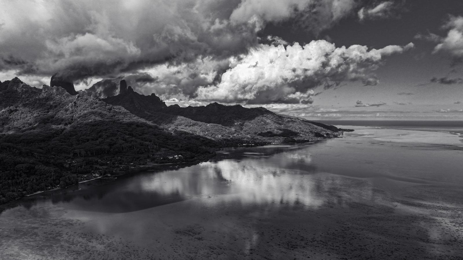 Moorea fieldwork 2024