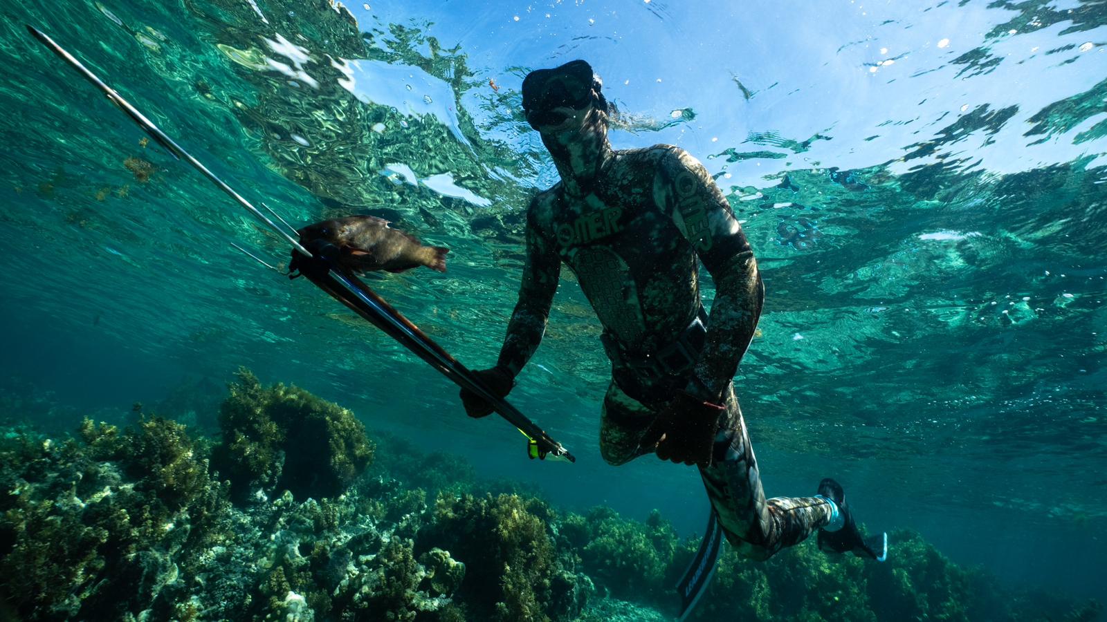Moorea fieldwork 2024