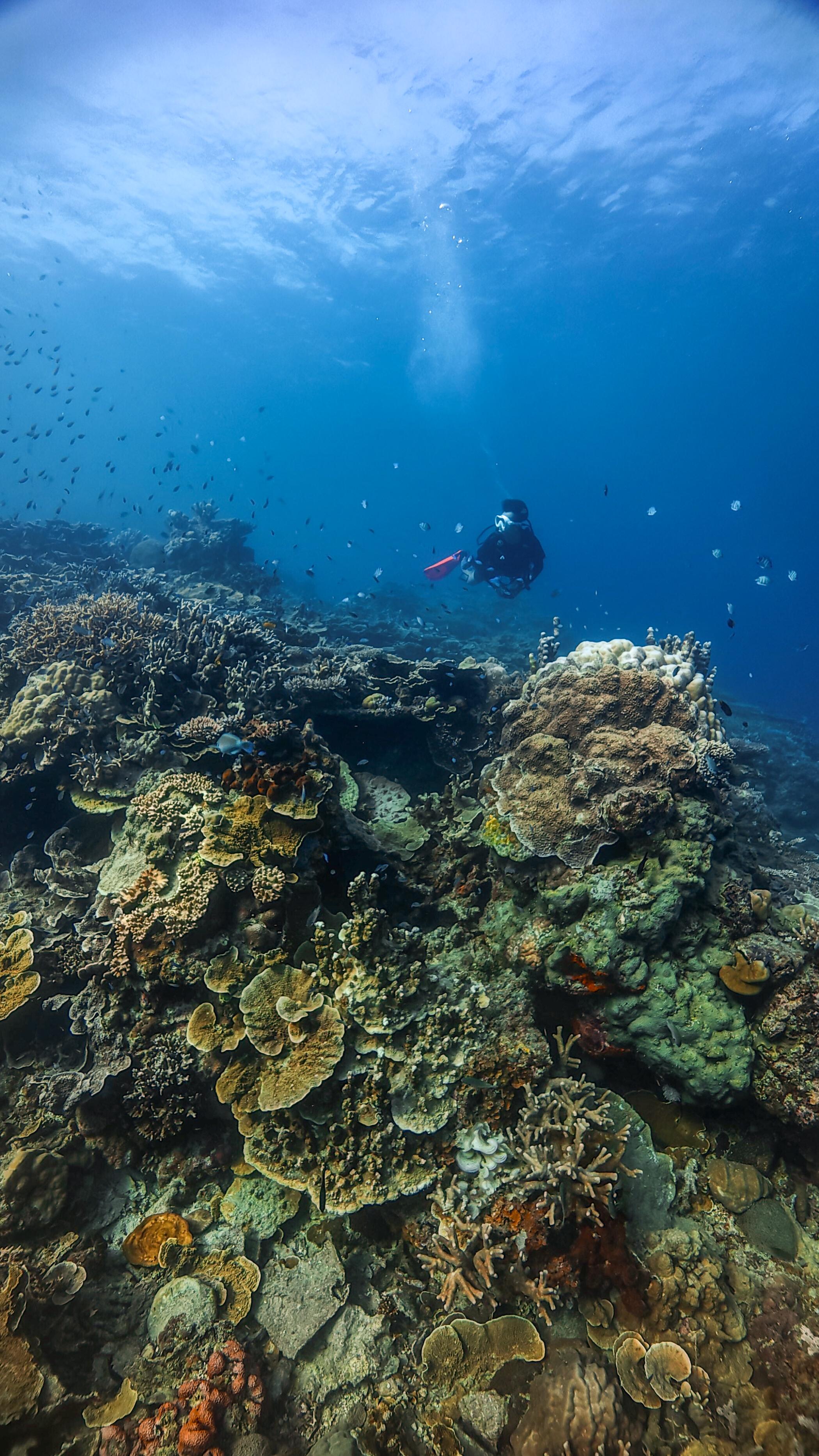 Karimunjawa expedition 2026