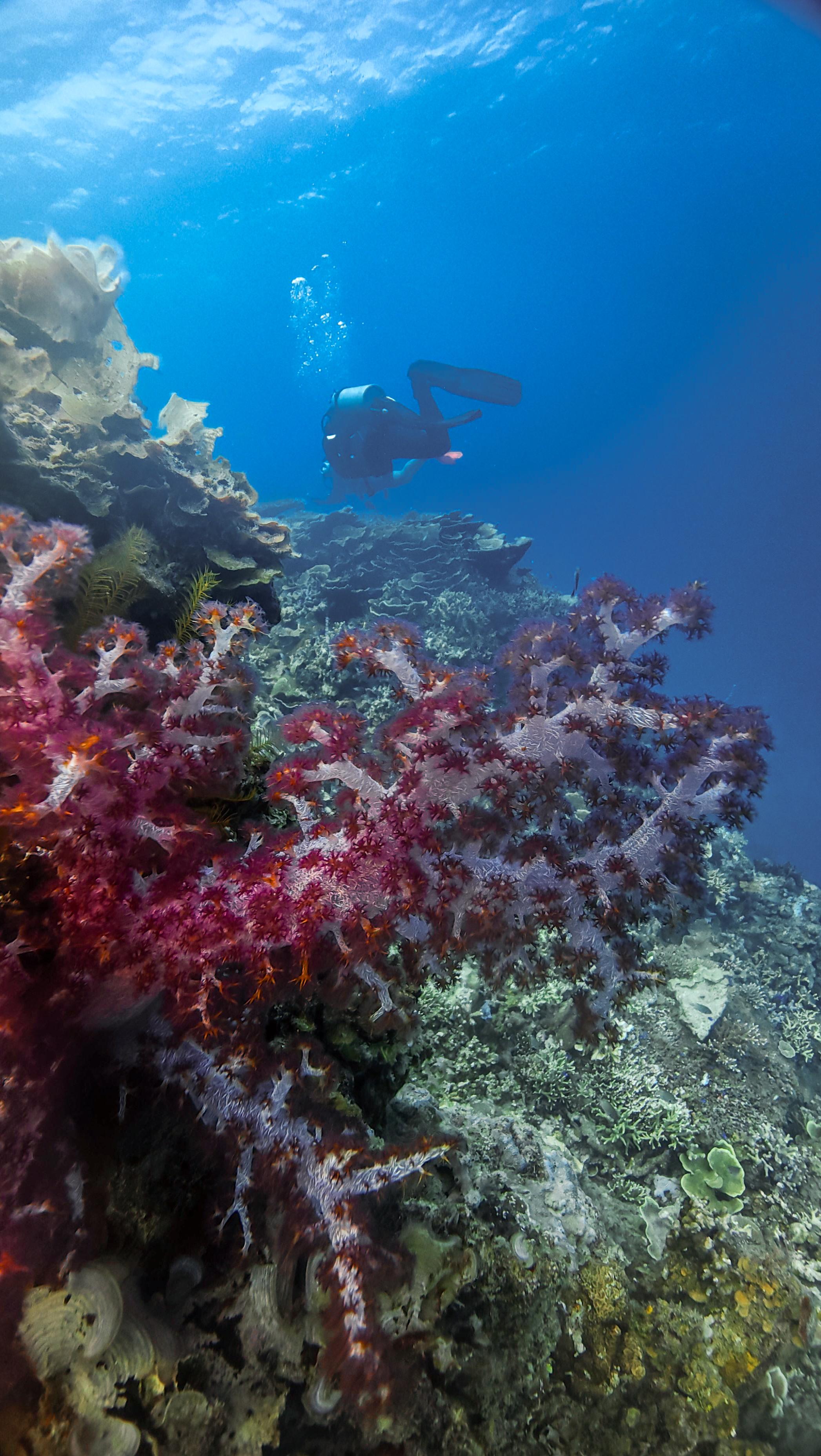Karimunjawa expedition 2026