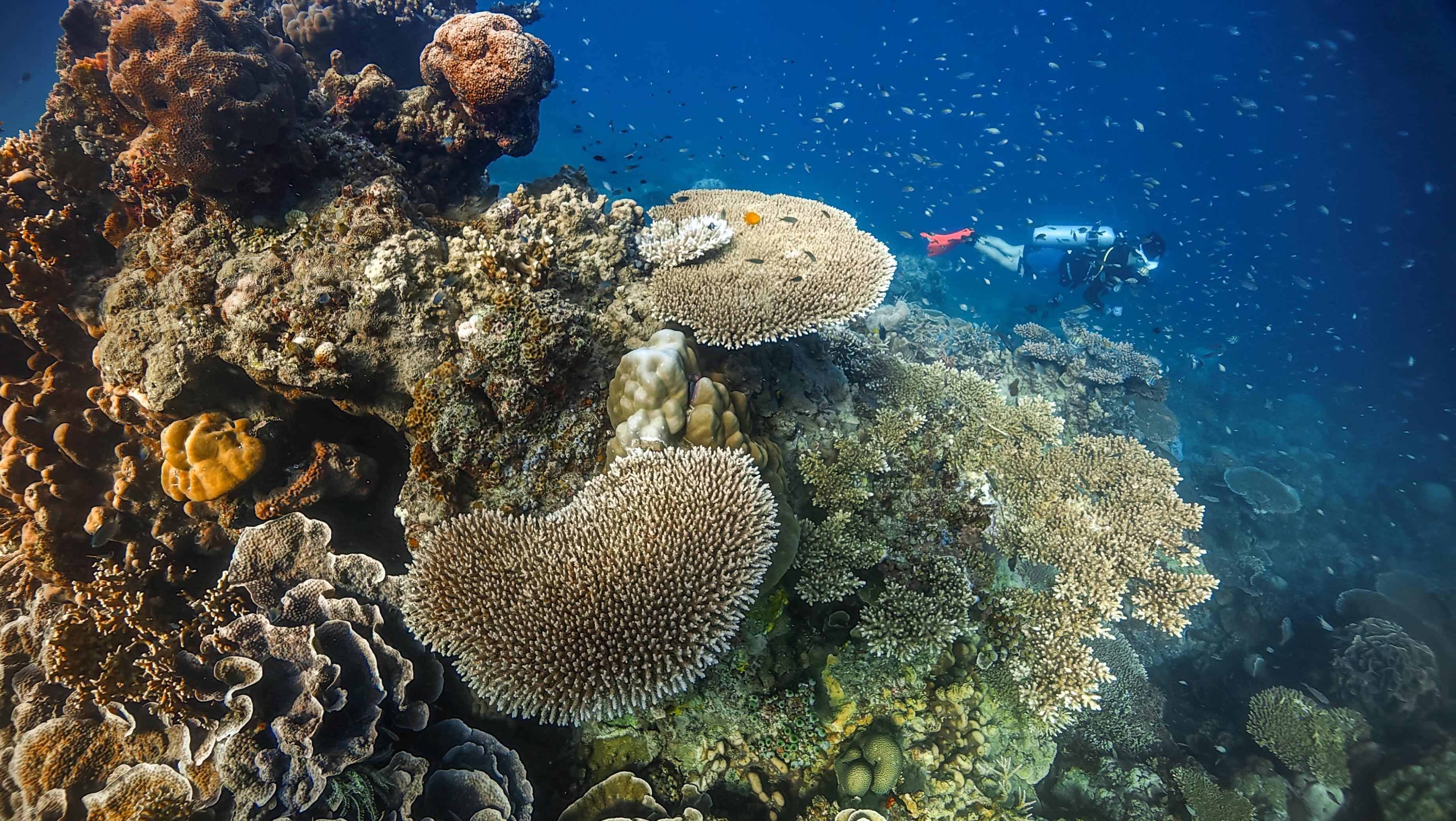 Karimunjawa expedition 2026