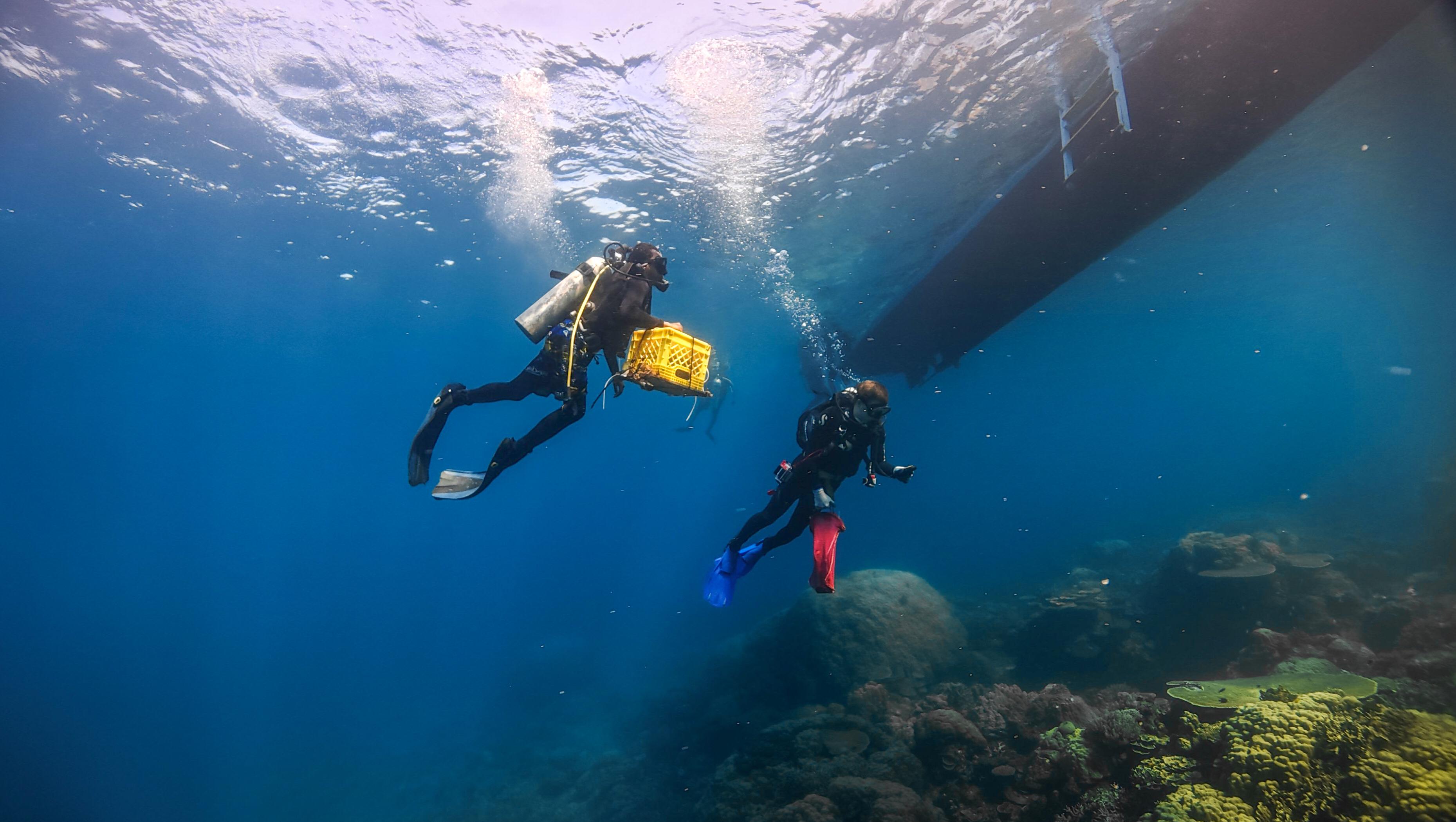 Karimunjawa expedition 2026
