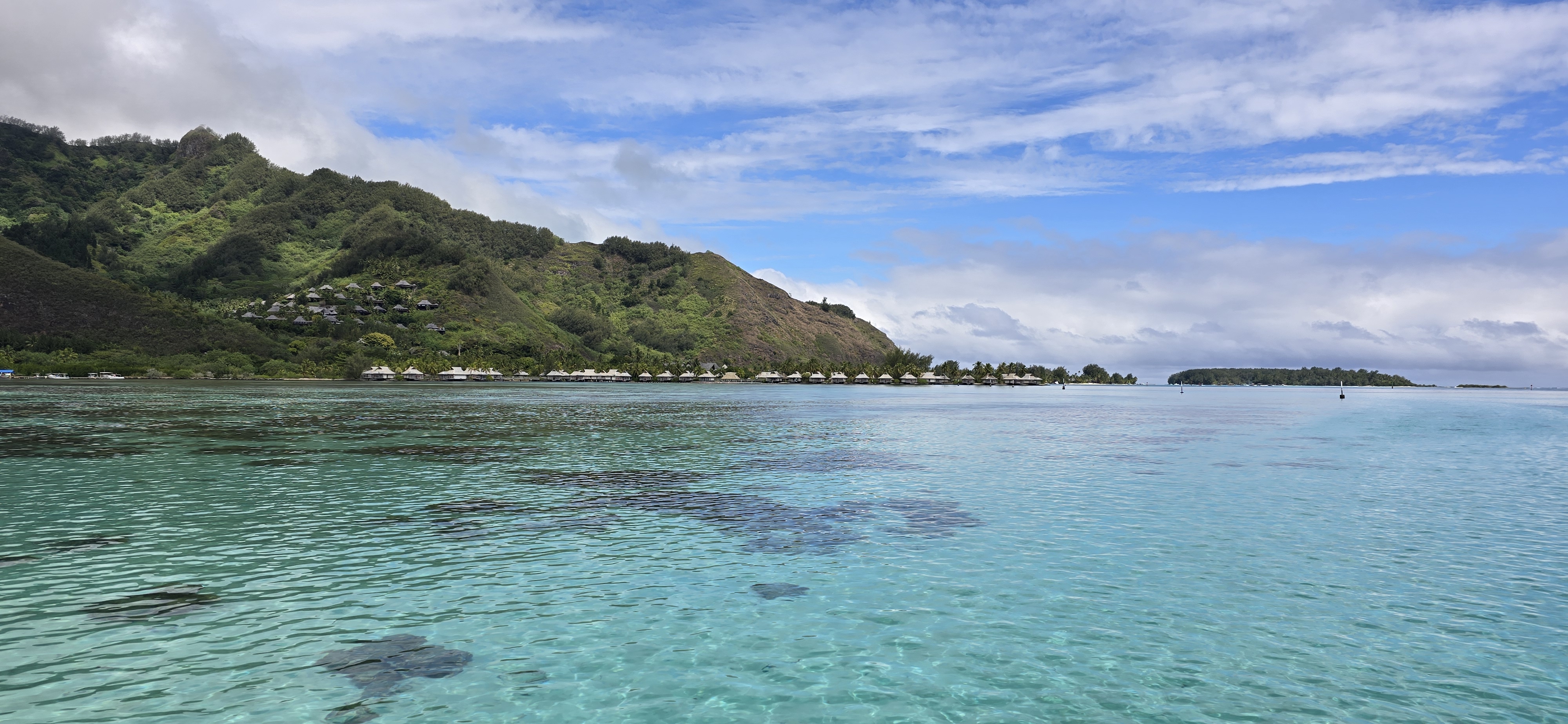 Coral reef panorama in Moorea