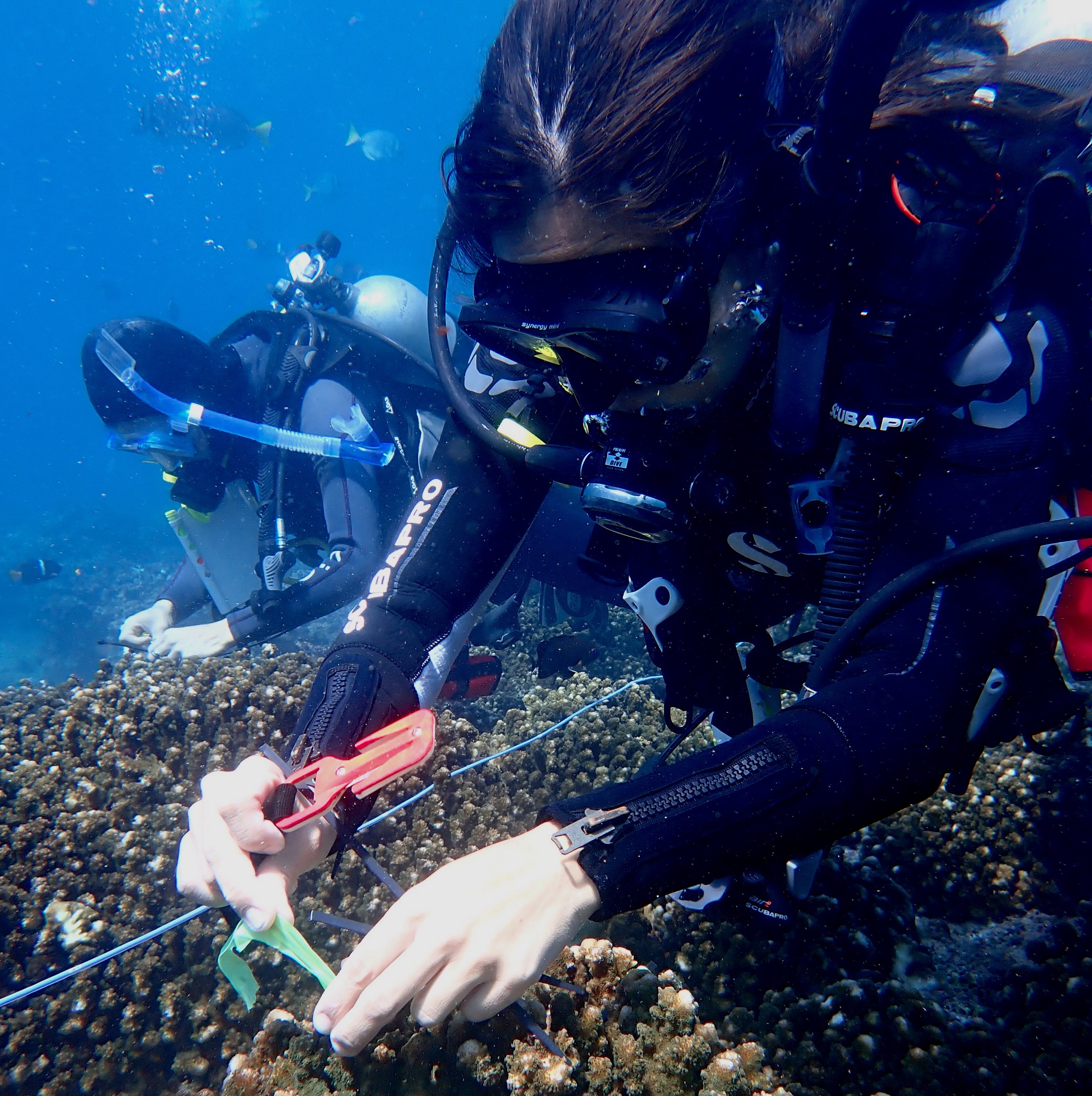 Fieldwork with HKU students